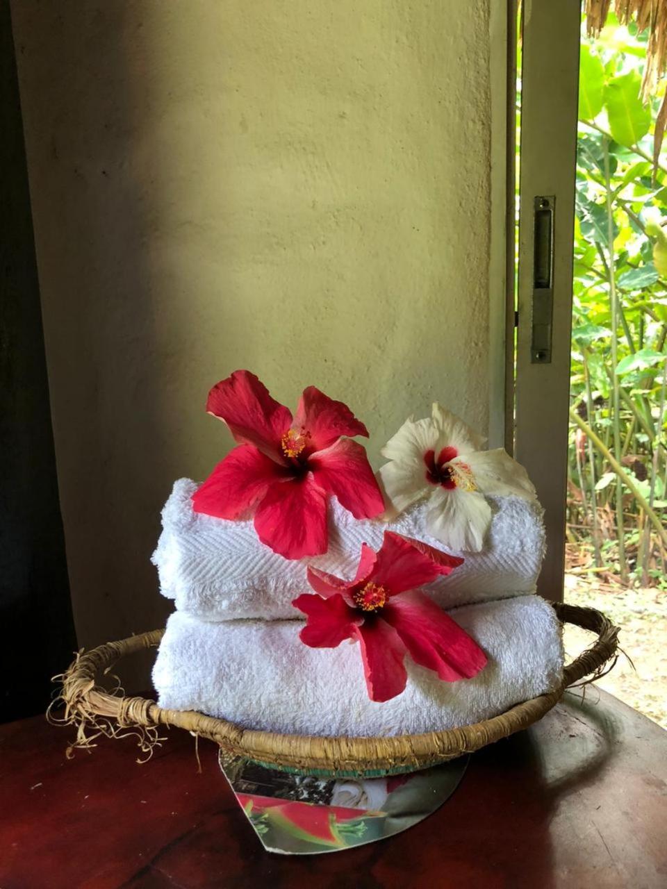 Taironaka Eco Hotel Don Diego ภายนอก รูปภาพ