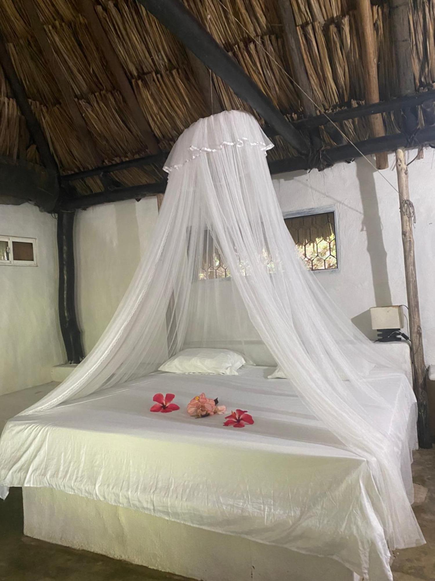 Taironaka Eco Hotel Don Diego ภายนอก รูปภาพ